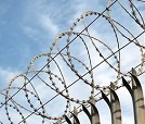 Заборы из колючей проволоки Заборы из колючей проволоки