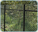 Заборы из сетки Заборы из сетки